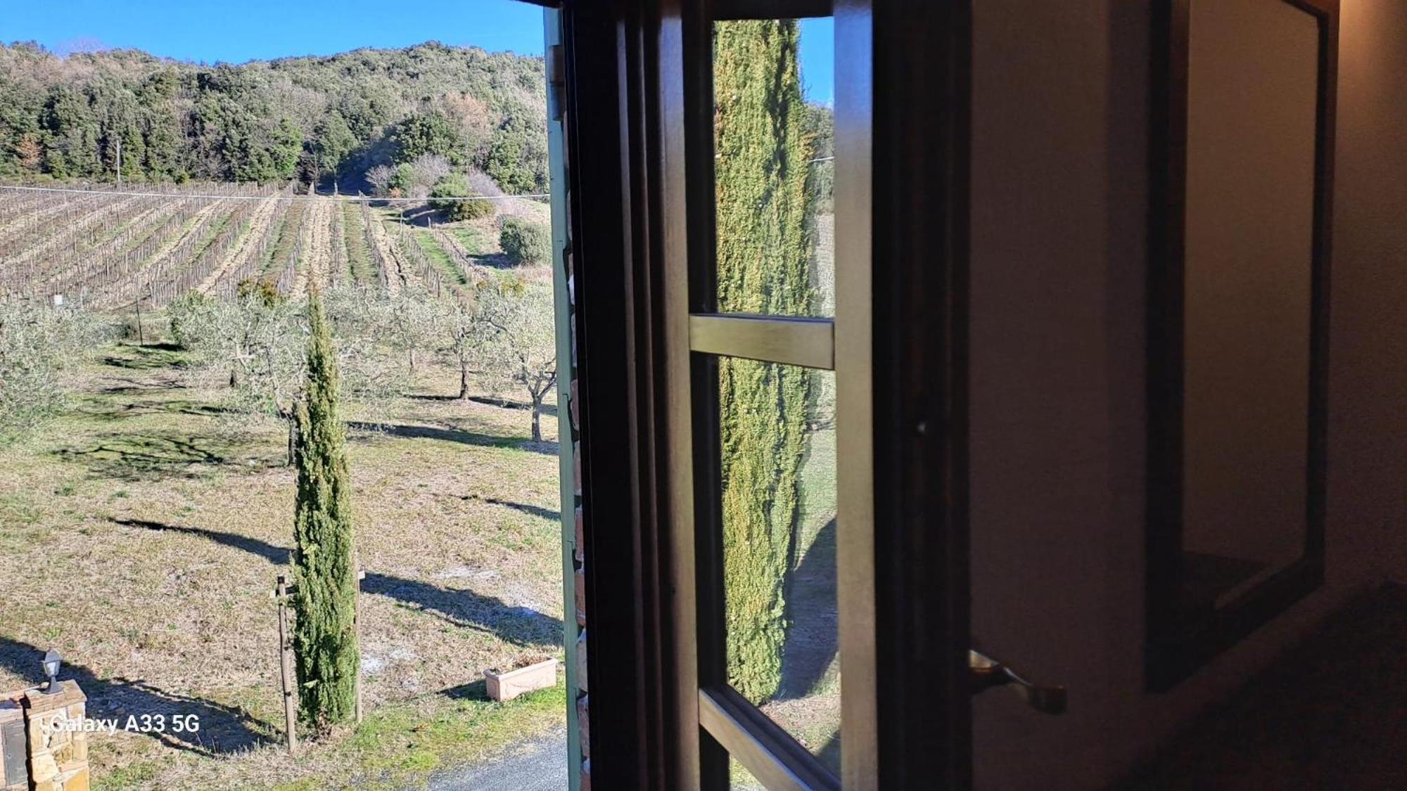Podere Oliveta Montecatini Val di Cecina Exteriér fotografie