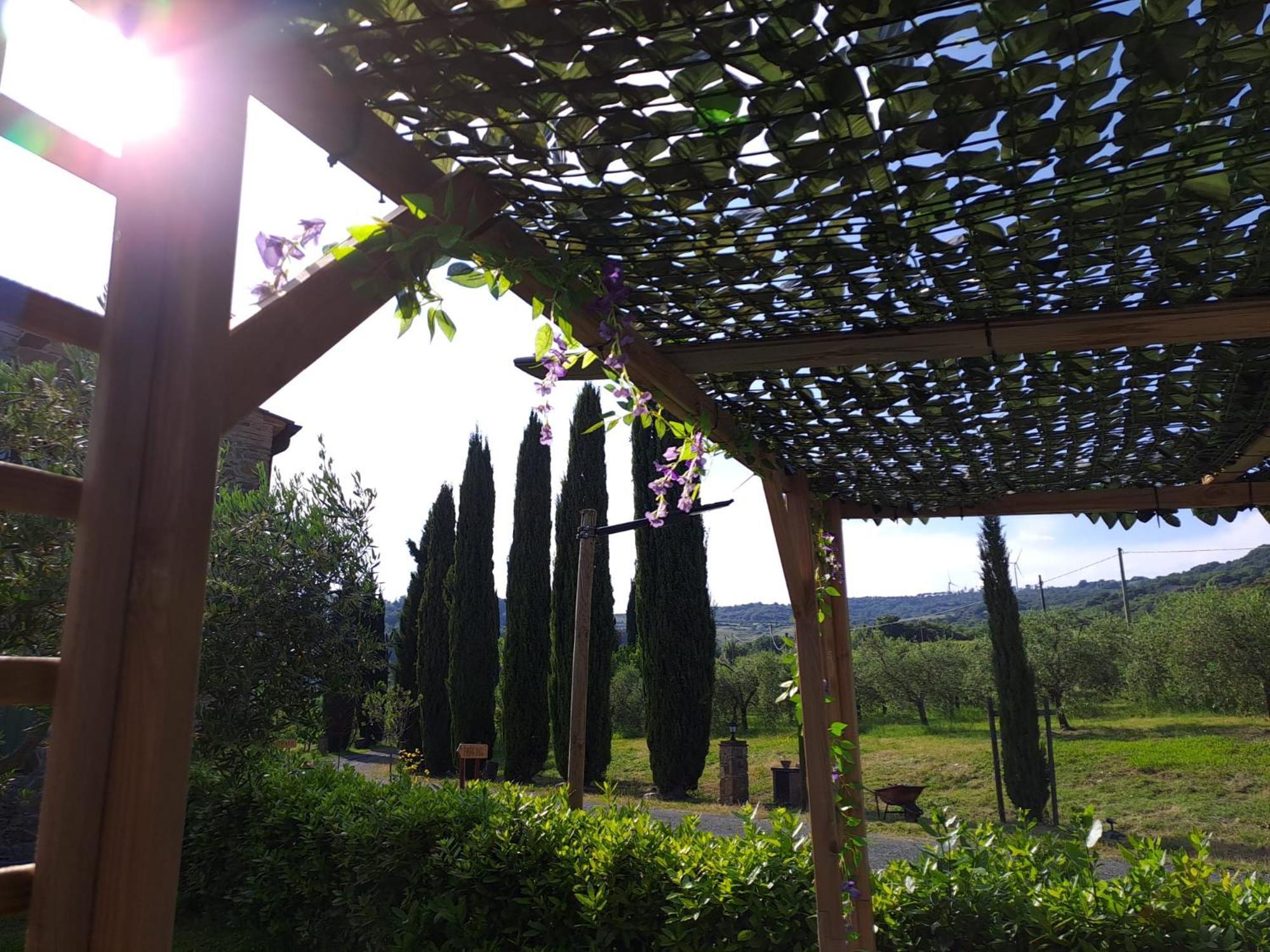 Podere Oliveta Montecatini Val di Cecina Exteriér fotografie